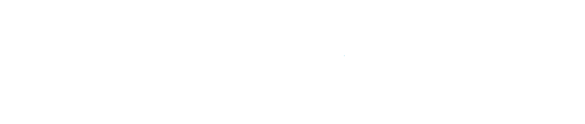 White logo (for use on dark backgrounds)